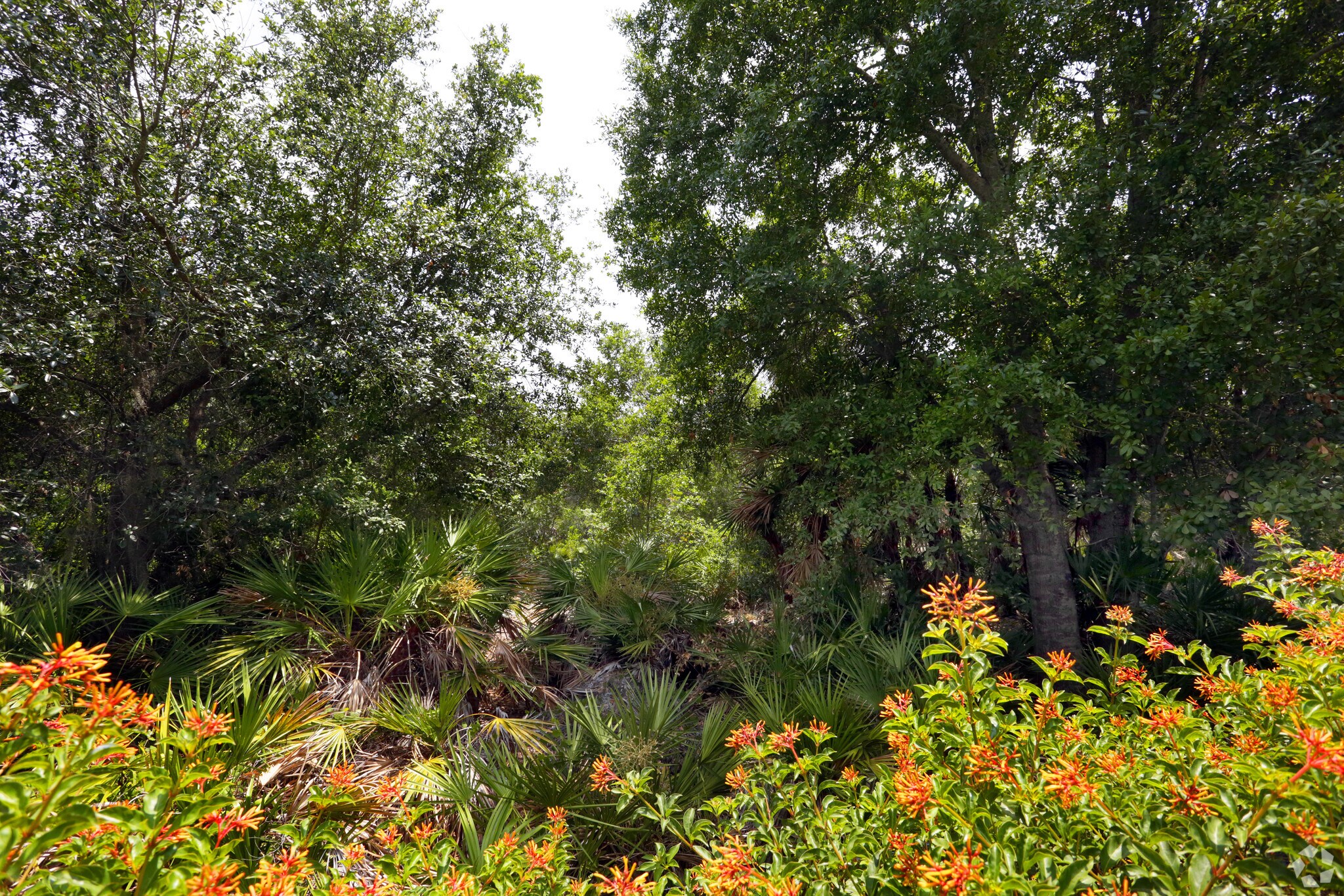 Tucker Jones Rd, Riverview, FL for sale Building Photo- Image 1 of 1