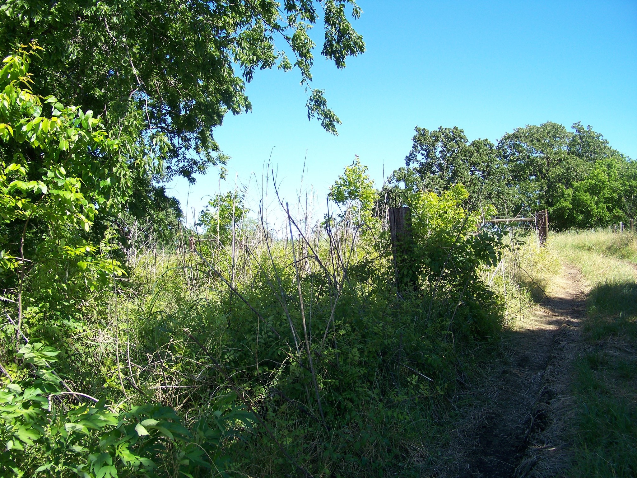 3201 W Highway 21, Bryan, TX for sale Other- Image 1 of 1