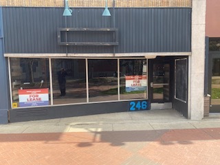 246 N Kalamazoo Mall, Kalamazoo, MI for lease - Building Photo - Image 2 of 15