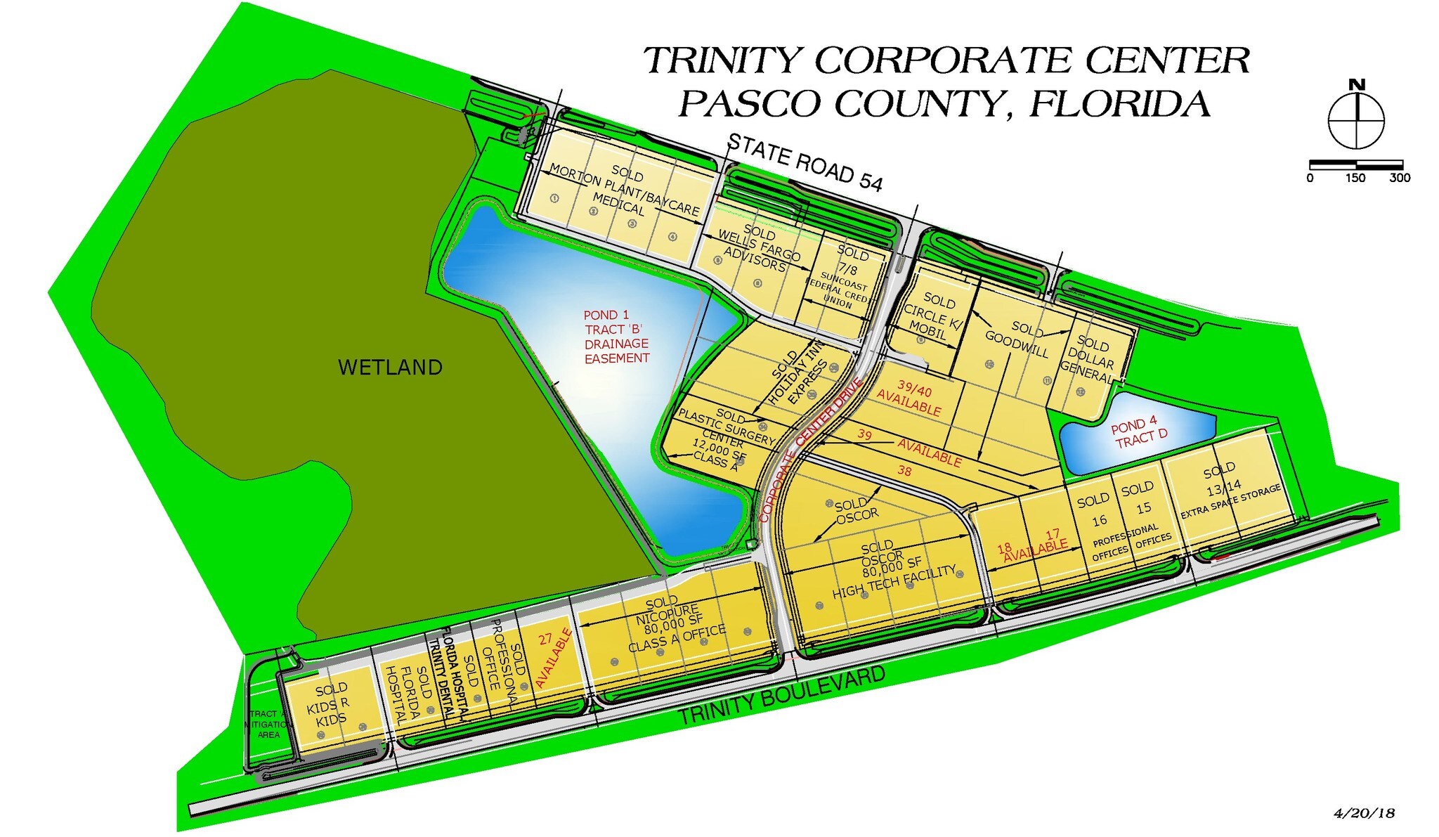 Trinity Blvd, Trinity, FL for sale Site Plan- Image 1 of 1