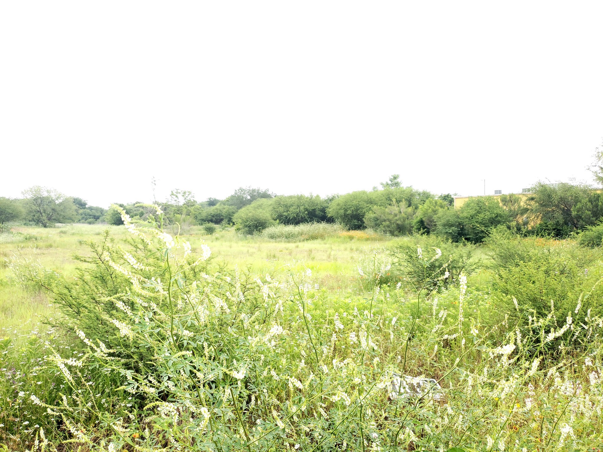 102 Creekside Trl, Kyle, TX for sale Building Photo- Image 1 of 1