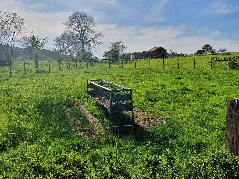 Robleu, S/N, Nava, Asturias for sale - Building Photo - Image 1 of 10