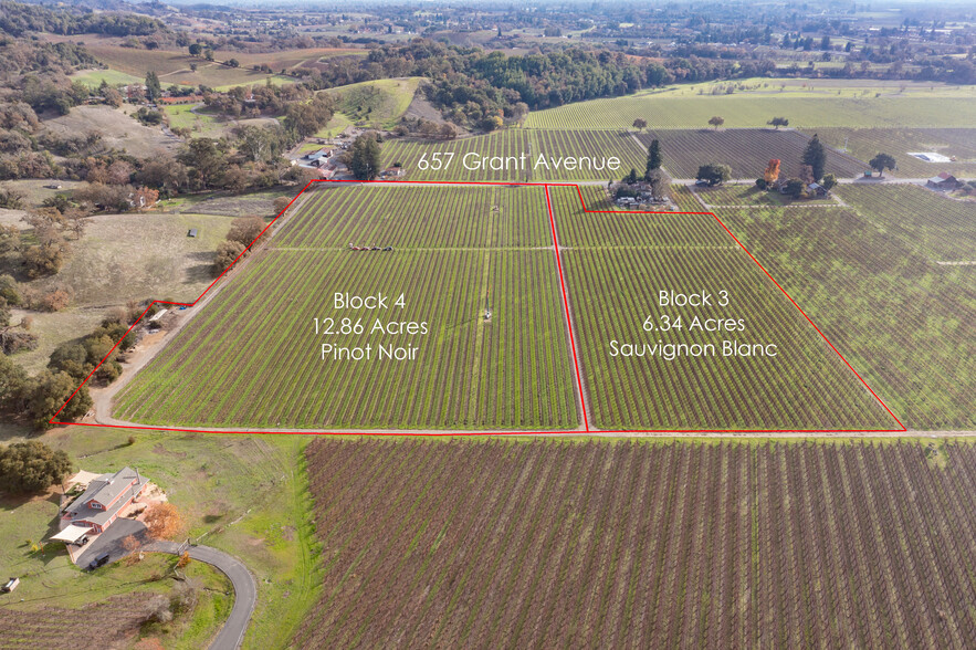 657 Grant ave, Healdsburg, CA for sale - Aerial - Image 1 of 15