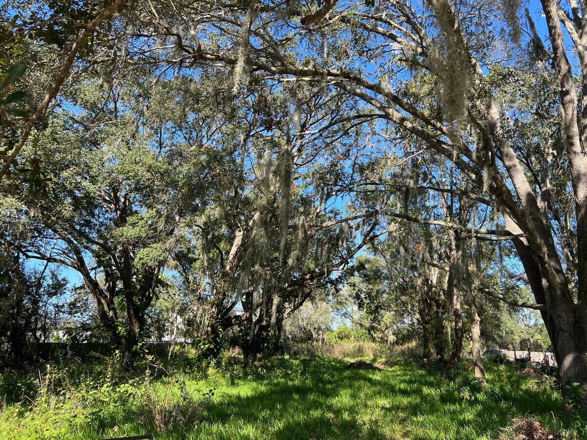 6613 Simmons Loop, Riverview, FL 33578