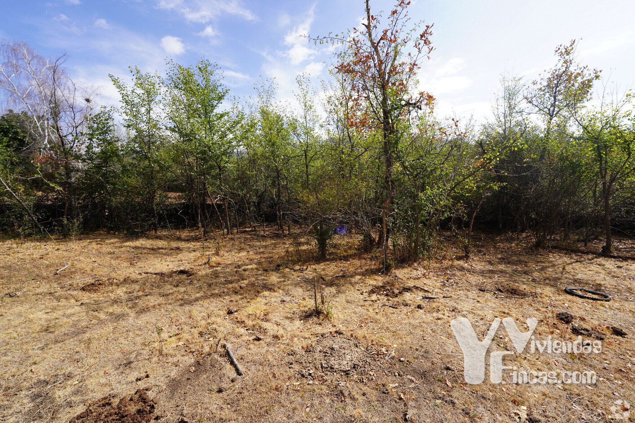 Polígono 9, Parcela 19, Campillo de Ranas, Guadalajara for sale Primary Photo- Image 1 of 1