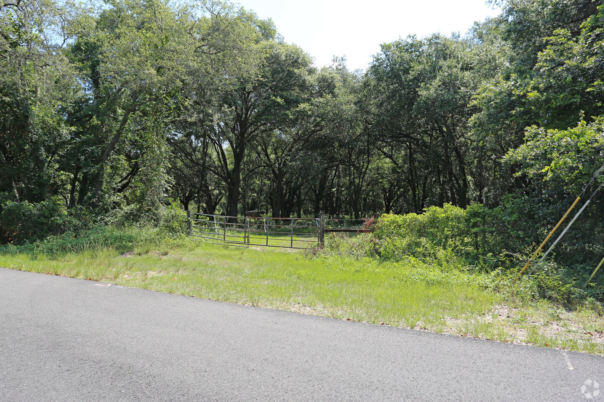 Old Morris Bridge Rd, Temple Terrace, FL for sale Primary Photo- Image 1 of 1