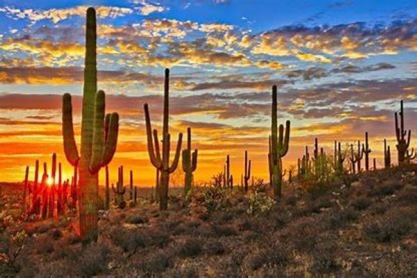 Bar, Apache Junction, AZ for sale - Building Photo - Image 2 of 6