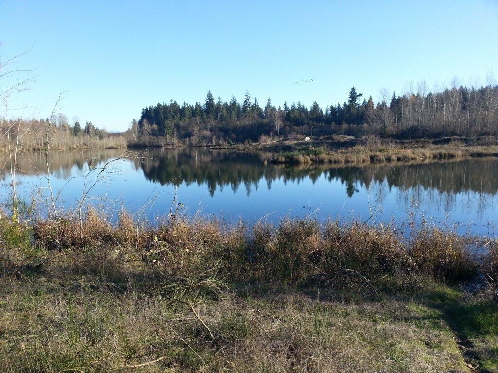 119-165 Collins Way, Toledo, WA for sale Building Photo- Image 1 of 1