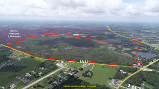 More details for 19858 State Road 52, Land O Lakes, FL - Land for Sale