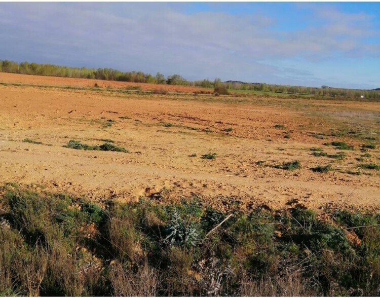 Industrial in Mansilla de las Mulas for sale - Building Photo - Image 2 of 5