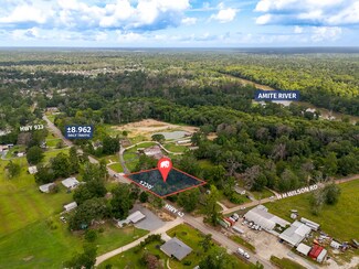 More details for 44098 HWY 42, Prairieville, LA - Land for Sale