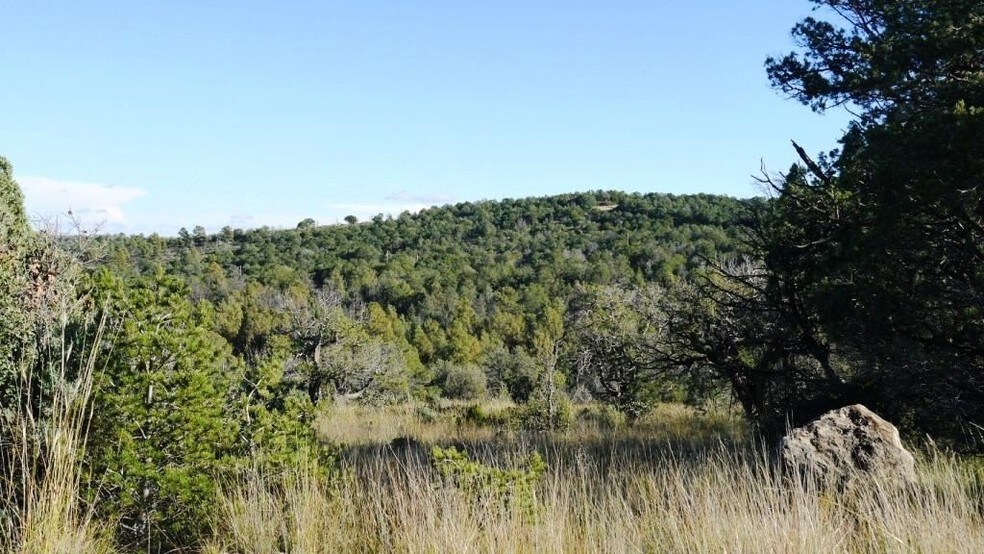 Gentle Breeze, Timberon, NM 88350