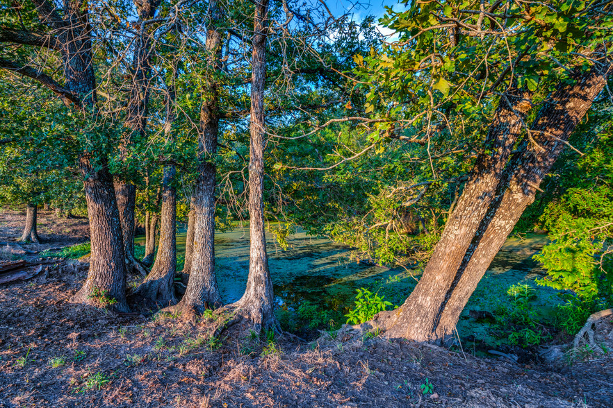 County Road 1105, Bogata, TX for sale - Primary Photo - Image 1 of 17