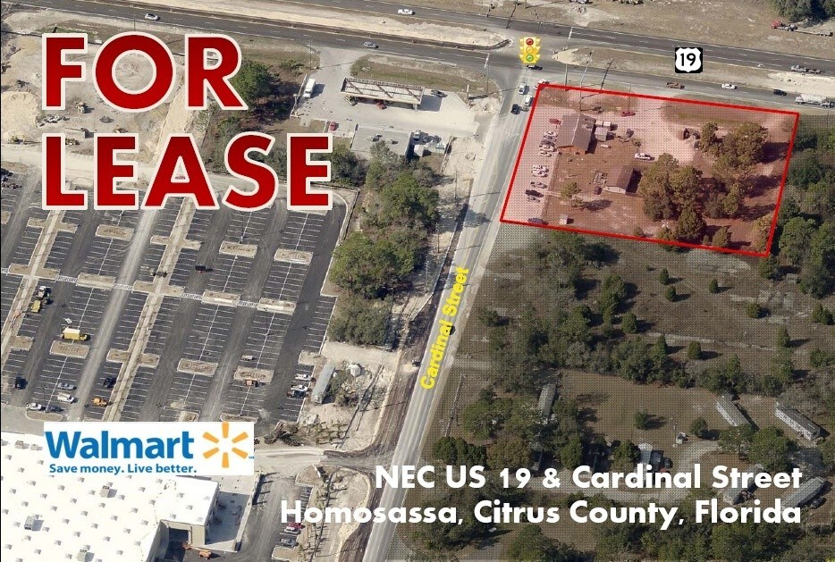 NEC US 19 & Cardinal St, Homosassa, FL for sale Aerial- Image 1 of 1