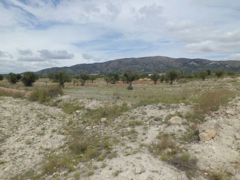 Land in PINOSO for sale - Building Photo - Image 2 of 3