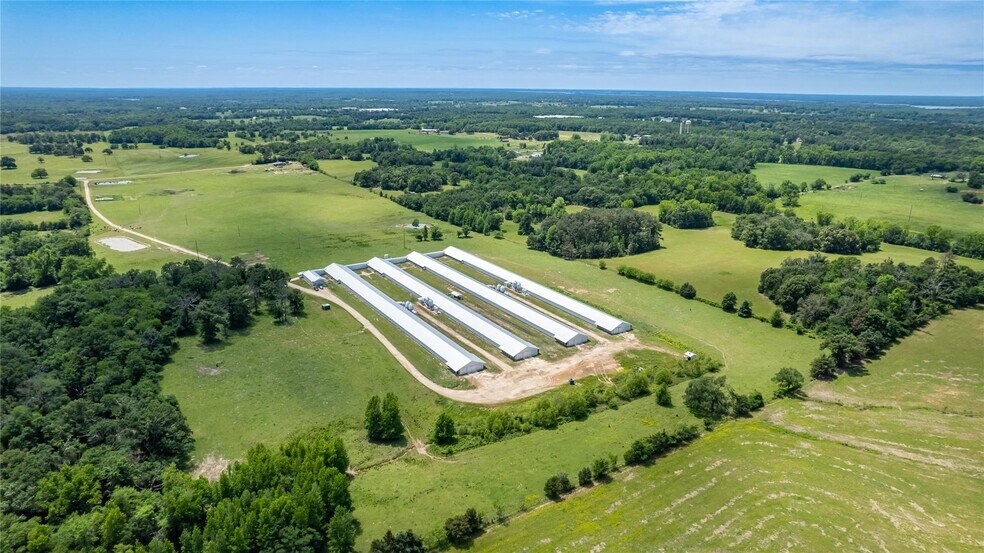 4172 FM 515, Como, TX for sale - Primary Photo - Image 1 of 1