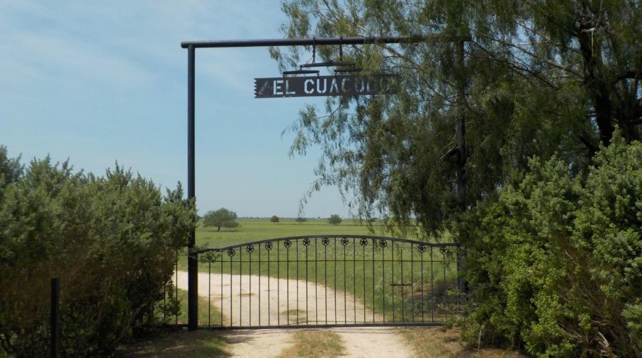 25431 Fm 1015, Monte Alto, TX for sale Primary Photo- Image 1 of 1