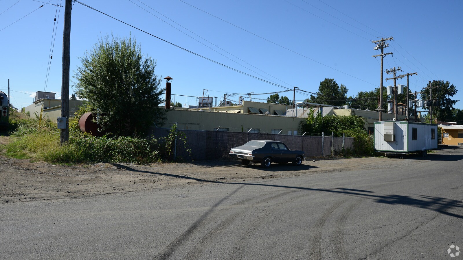 Primary Photo