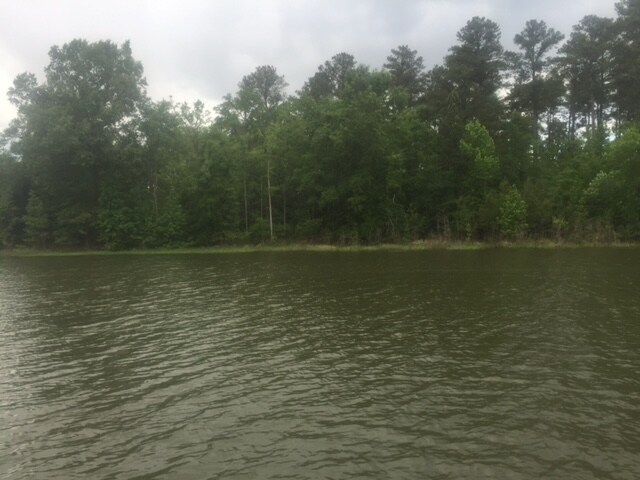 1131 Pine Shores Cove, Tignall, GA for sale Primary Photo- Image 1 of 1