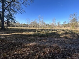 More details for Boy Scout Rd - Section 1, Forest Hill, LA - Land for Sale