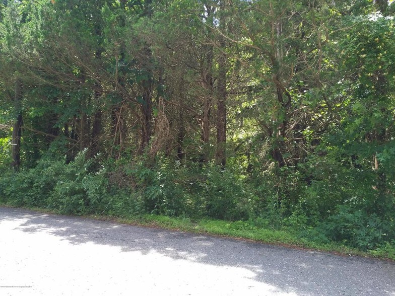 16 Tower Rd, Cream Ridge, NJ for sale - Primary Photo - Image 1 of 1