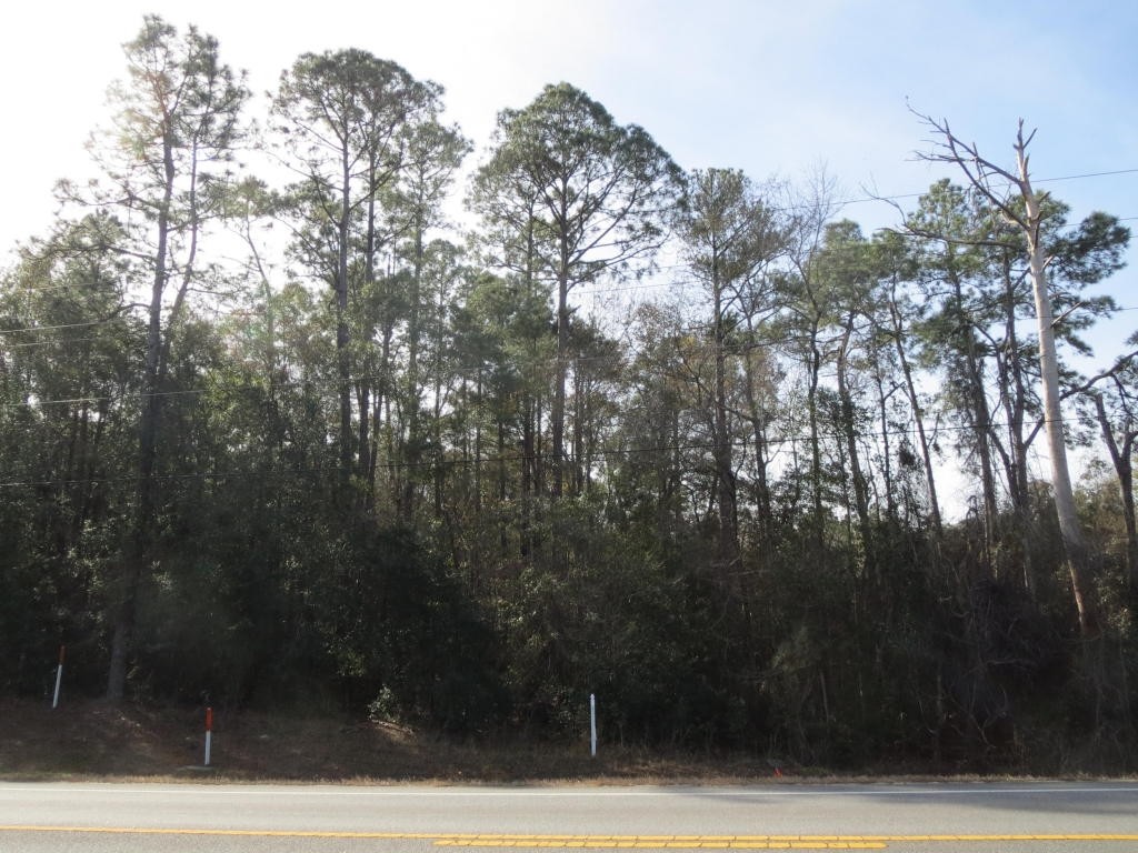 State Hwy 20, Freeport, FL for sale Primary Photo- Image 1 of 1