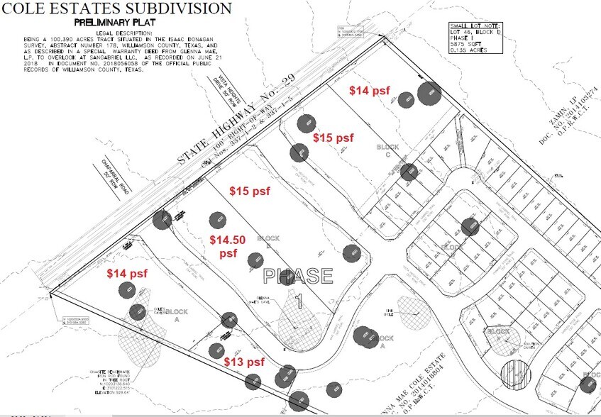 State Hwy 29, Georgetown, TX for sale - Site Plan - Image 1 of 1