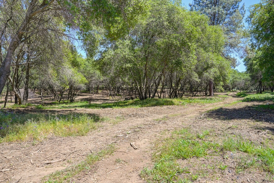 10650 Werner Rd, Auburn, CA for sale - Other - Image 3 of 21