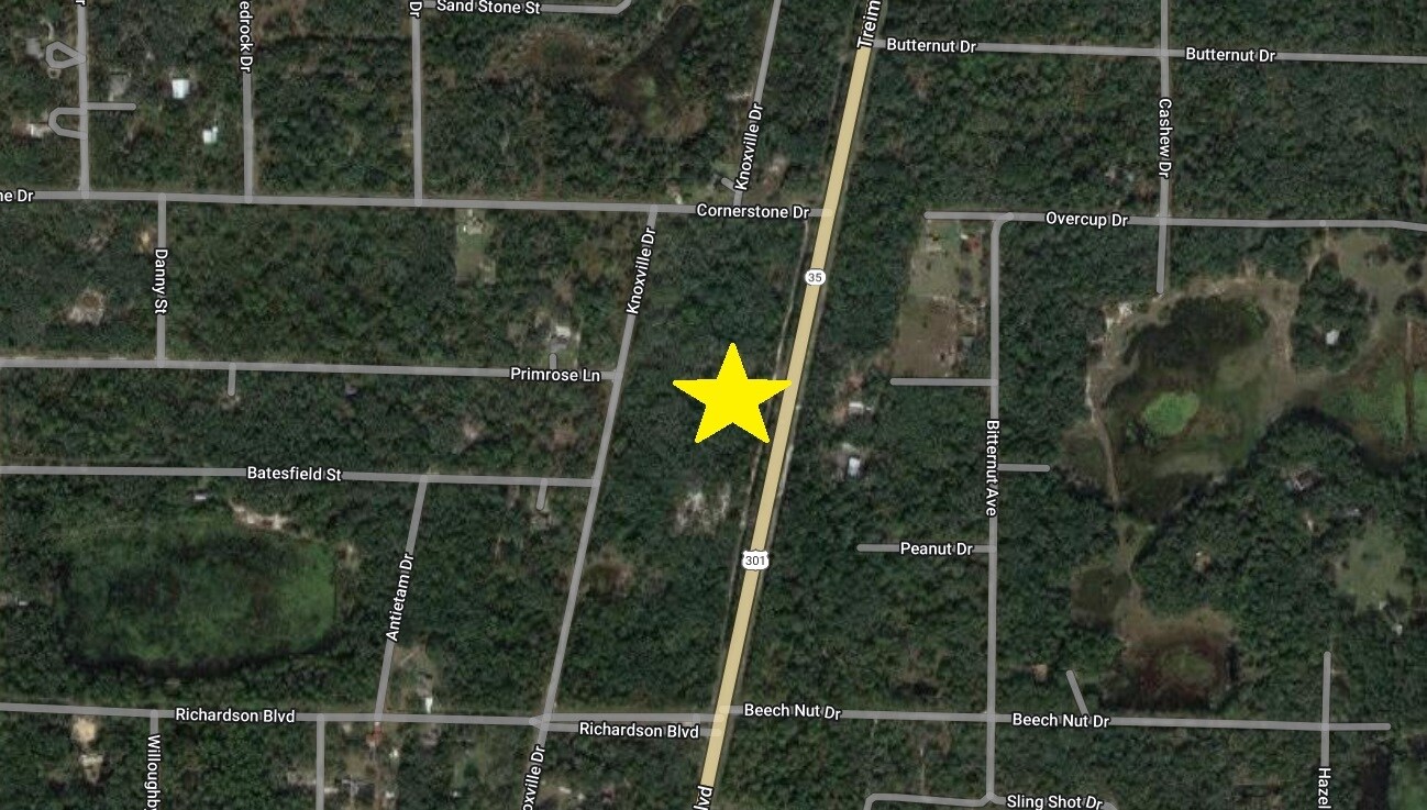 8037 Treiman, ster, FL 33597