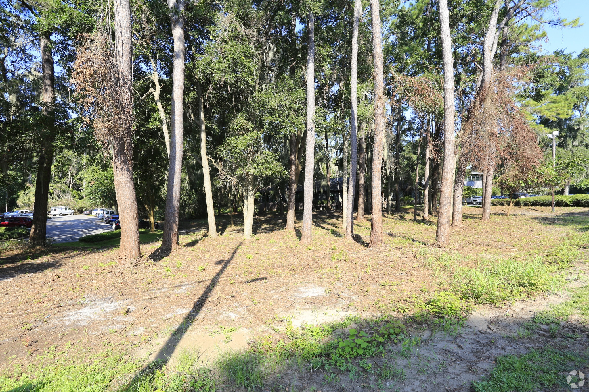 1058 Ribaut Rd, Beaufort, SC for sale Primary Photo- Image 1 of 1