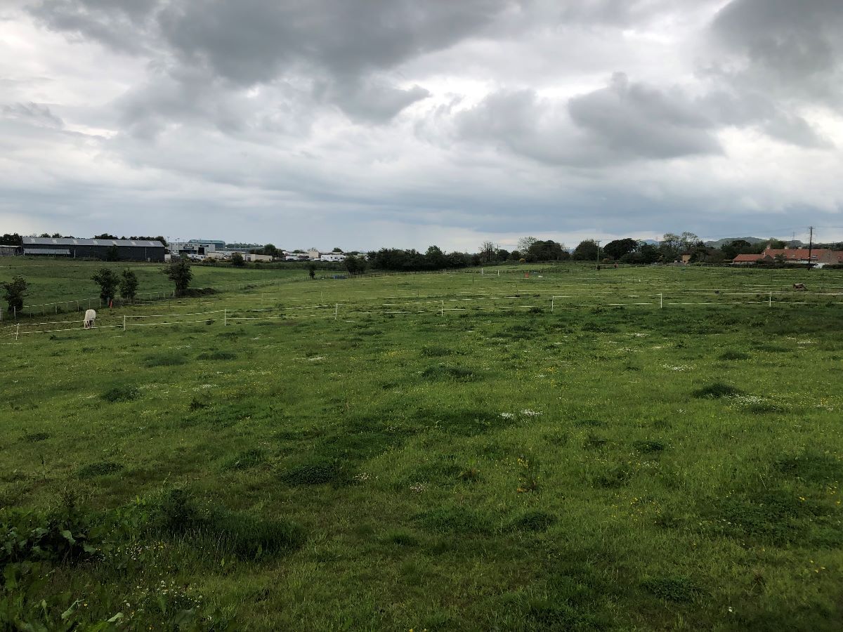 Camps Rd, Kirknewton for sale Primary Photo- Image 1 of 1