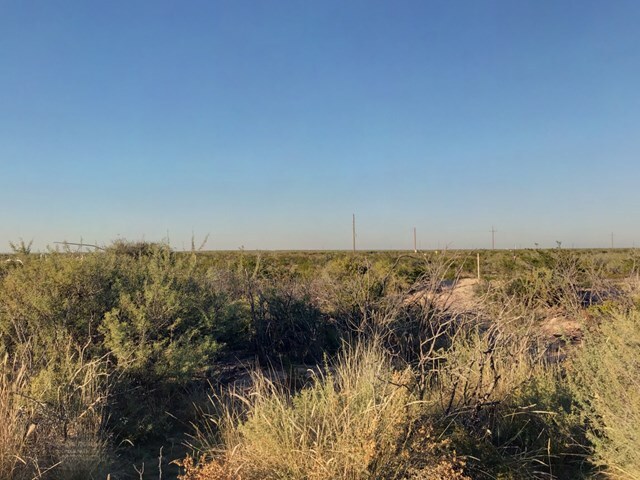 10 Acres County Road 2545, Coyanosa, TX for sale Primary Photo- Image 1 of 11