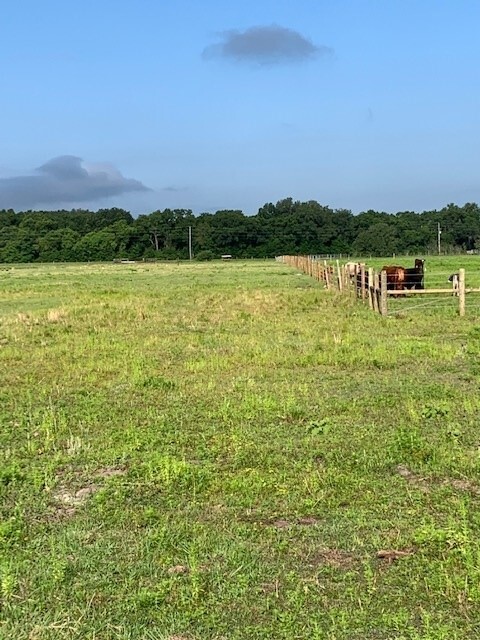 COUNTY ROAD 469, Center Hill, FL for sale Other- Image 1 of 1