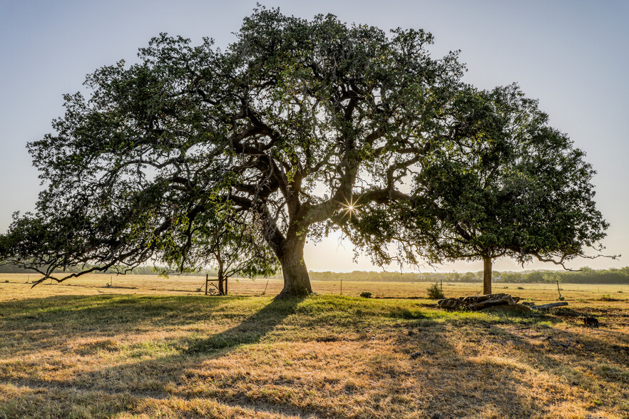 13089 Pearsall Road, Atascosa, TX, USA, Atascosa, TX for sale - Other - Image 1 of 1