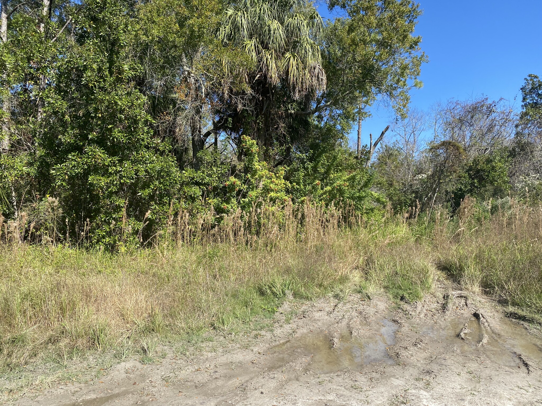 Diagonal Rd & Lazy Ln, Hudson, FL for sale Primary Photo- Image 1 of 2