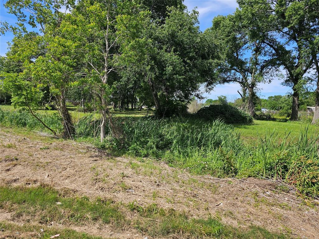 00 Pine Road Rd, Arcola, TX for sale Other- Image 1 of 1