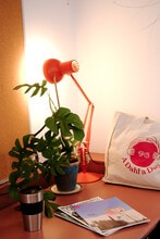 20-22 Lordship Ln, London for lease Interior Photo- Image 1 of 16