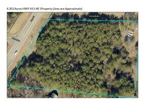 00 NE Hwy 411, Rydal, GA - AERIAL  map view