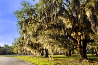 2204 Grove Point Rd, Savannah, GA - AERIAL  map view - Image1