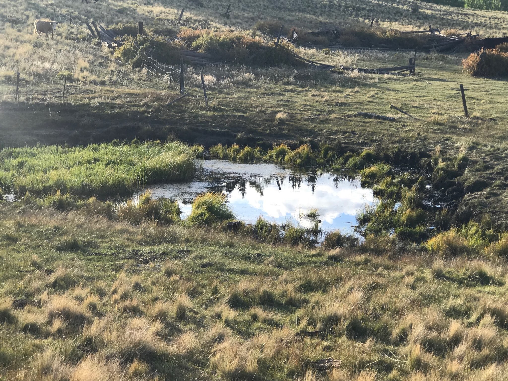 Tbd County Rd 107, Hartsel, CO for sale Primary Photo- Image 1 of 1