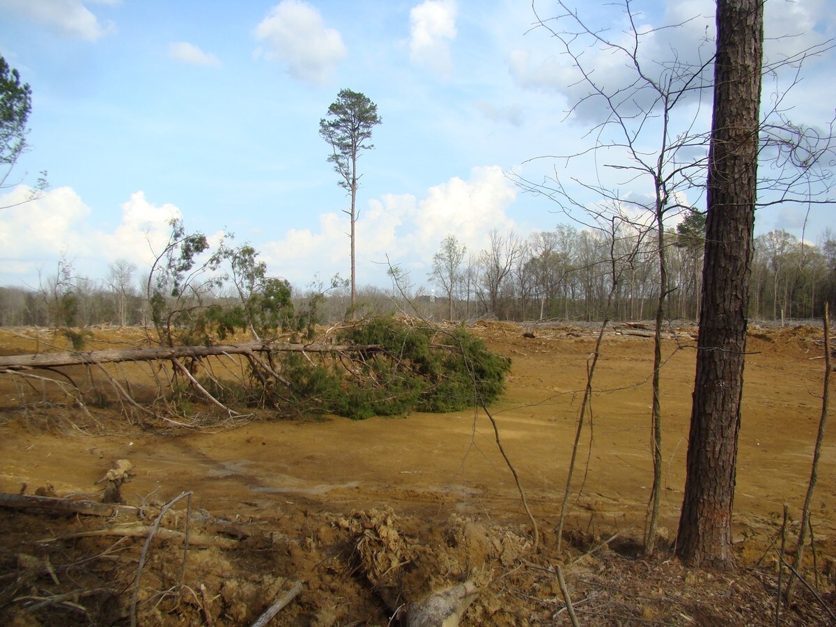 N Gloster St, Tupelo, MS 38866