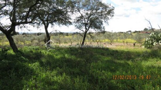 Land in Cáceres for sale Building Photo- Image 1 of 12