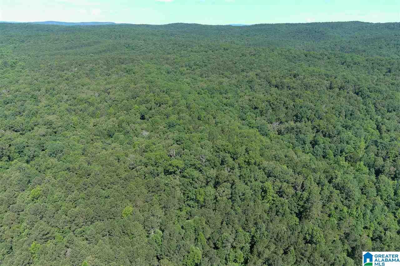 0 County Rd 61, Fruithurst, AL 36262 Land for Sale