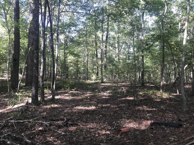 1424 Shady Grove Rd, Irmo, SC for sale - Other - Image 3 of 11