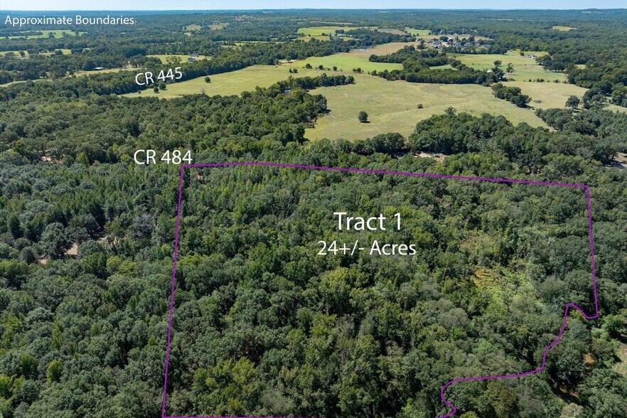 Tract 1 County Road 484, Mineola, TX for sale - Aerial - Image 2 of 13