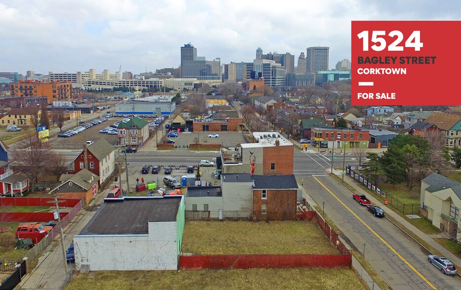 1524 Bagley St Detroit Mi 48216 Retail For Sale Loopnet Com