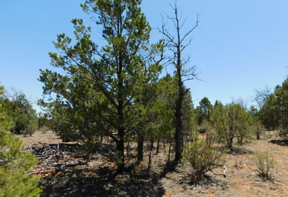 3517 Sunset Ridge Loop 163, Happy Jack, AZ for sale Primary Photo- Image 1 of 10