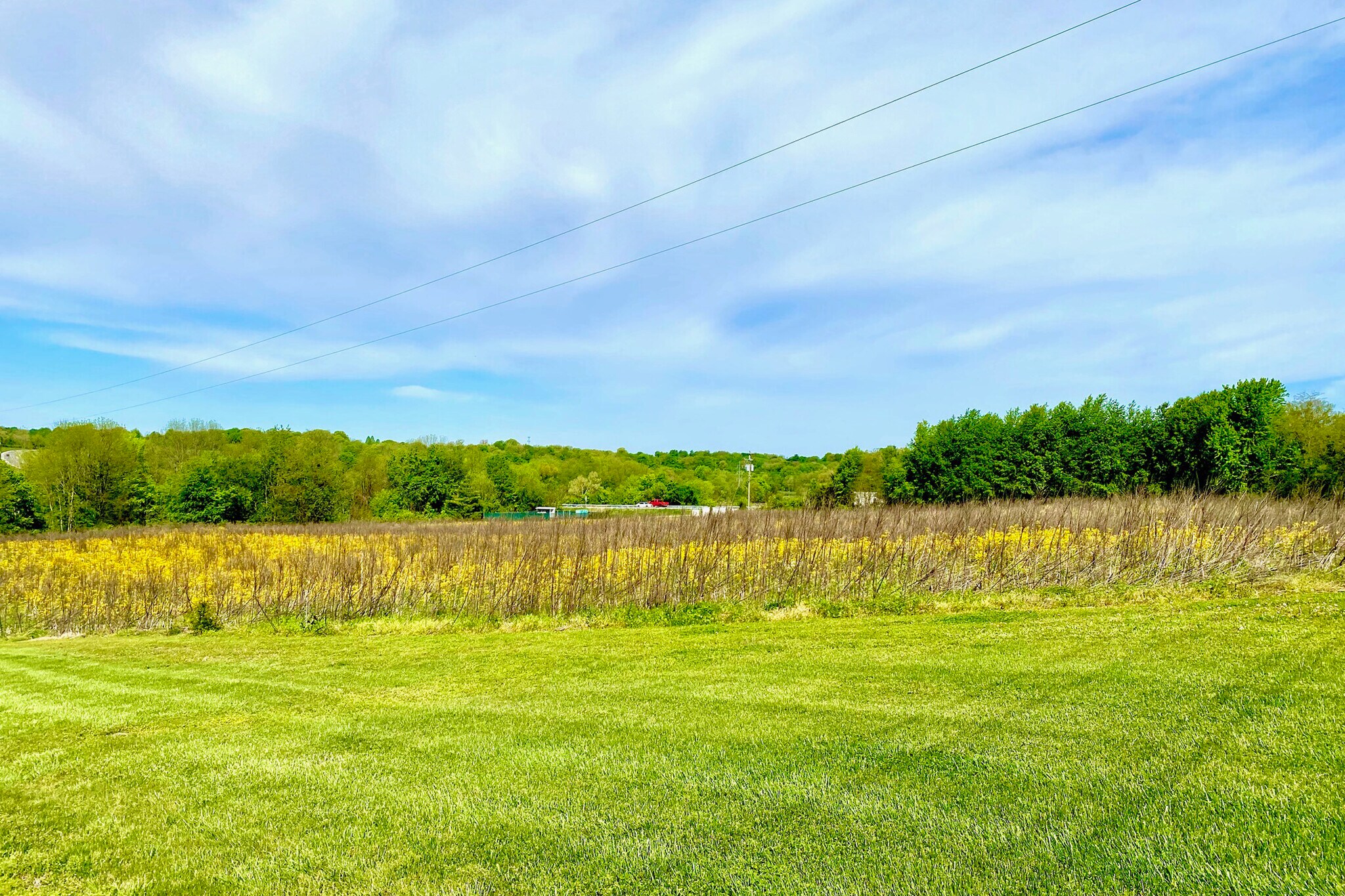 2000 Scottsville Rd, Franklin, KY for sale Other- Image 1 of 1