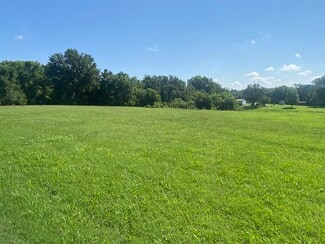 More details for 310 Gulf Street, Walnut Grove, MO - Land for Sale