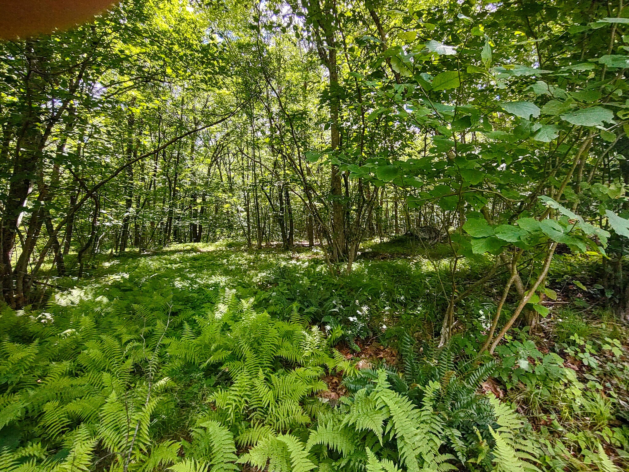 00 Bantam, Morris, CT 06763